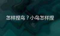 怎樣捏鳥？小鳥怎樣捏