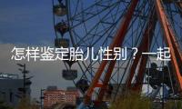 怎樣鑒定胎兒性別？一起來(lái)了解一下