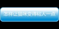 怎樣讓貓咪變得粘人一點(怎樣讓貓咪喜歡自己)