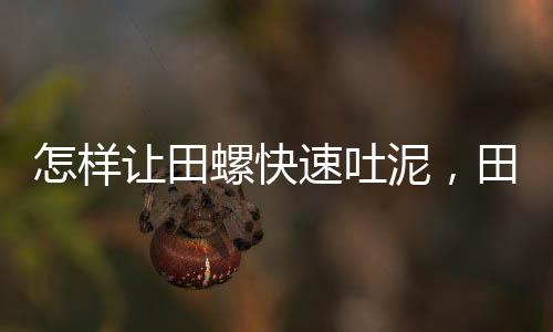 怎樣讓田螺快速吐泥，田螺快速吐泥