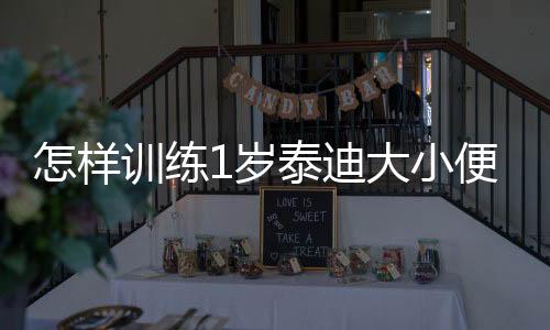 怎樣訓練1歲泰迪大小便視頻？一歲左右的泰迪狗狗怎樣訓練