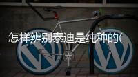 怎樣辨別泰迪是純種的(怎樣判斷泰迪狗狗的年齡)