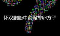 懷雙胞胎中藥促排卵方子快收藏，身體調理后生兩個不成問題