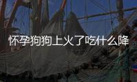 懷孕狗狗上火了吃什么降火(懷孕吃什么都上火怎么辦)