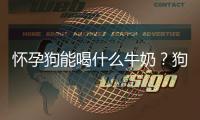 懷孕狗能喝什么牛奶？狗可以喝孕婦的孕婦奶粉嗎
