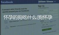 懷孕的狗吃什么(狗懷孕吃什么水果好)