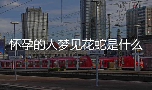 懷孕的人夢見花蛇是什么意思（花蛇是什么意思）
