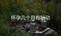 懷孕幾個月有胎動