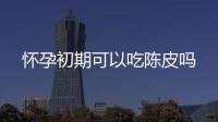 懷孕初期可以吃陳皮嗎
