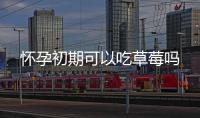 懷孕初期可以吃草莓嗎