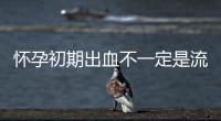 懷孕初期出血不一定是流產！檢查2步驟、4大常見原因