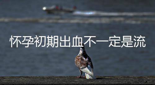 懷孕初期出血不一定是流產！檢查2步驟、4大常見原因