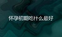 懷孕初期吃什么最好