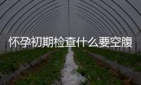 懷孕初期檢查什么要空腹嗎