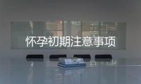 懷孕初期注意事項(xiàng)