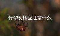 懷孕初期應(yīng)注意什么