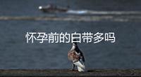 懷孕前的白帶多嗎
