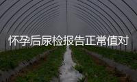 懷孕后尿檢報告正常值對照表分享，60秒教你看懂孕檢化驗單