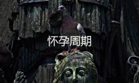 懷孕周期