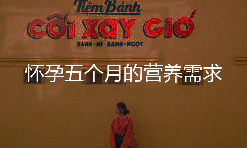懷孕五個月的營養(yǎng)需求