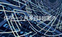 懷孕一個月多月B超圖介紹,孕早期B超檢查注意事項