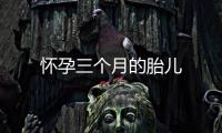 懷孕三個月的胎兒