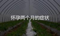 懷孕兩個(gè)月的癥狀