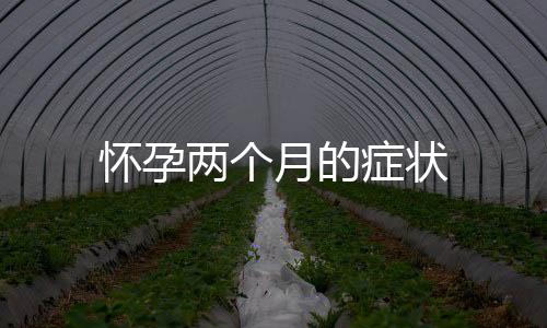 懷孕兩個月的癥狀