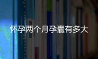 懷孕兩個月孕囊有多大