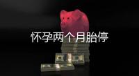 懷孕兩個月胎停