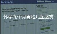 懷孕九個(gè)月男胎兒圖鑒賞，了解胎兒發(fā)育情況