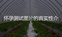 懷孕測試圖片的真實性介紹