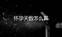 懷孕天數(shù)怎么算
