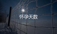 懷孕天數