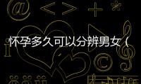 懷孕多久可以分辨男女（科學介紹胎兒性別鑒定時間）