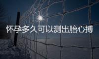 懷孕多久可以測出胎心搏動