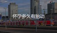 懷孕多久有胎動