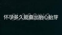 懷孕多久能查出胎心胎芽以及檢查的注意事項(xiàng)