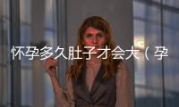懷孕多久肚子才會大（孕期肚子大小的變化及原因）