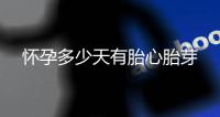 懷孕多少天有胎心胎芽