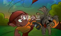 懷孕小三