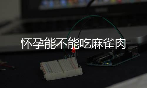 懷孕能不能吃麻雀肉