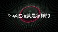 懷孕過程就是怎樣的