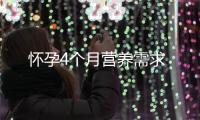 懷孕4個月營養(yǎng)需求