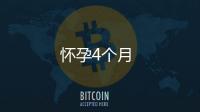 懷孕4個月