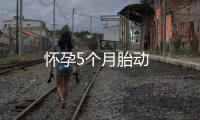 懷孕5個(gè)月胎動(dòng)