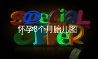 懷孕8個月胎兒圖