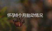 懷孕8個月胎動情況