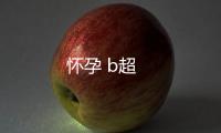 懷孕 b超