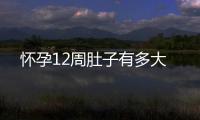 懷孕12周肚子有多大
